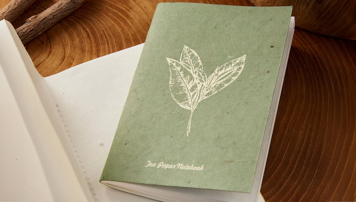 Recycled Diaries
