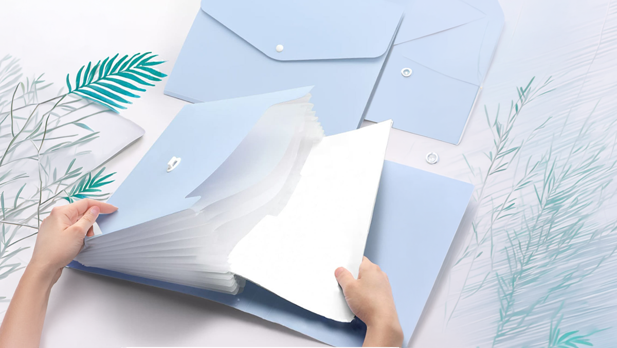 Document Bags